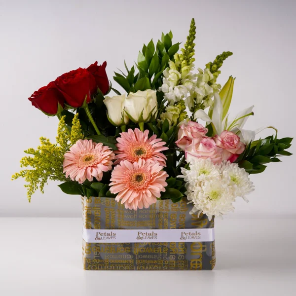 Vivid Greetings