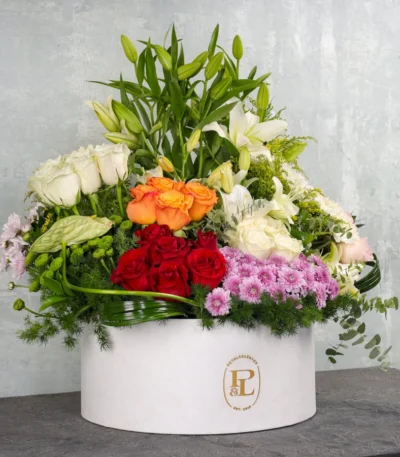 Alwan Box