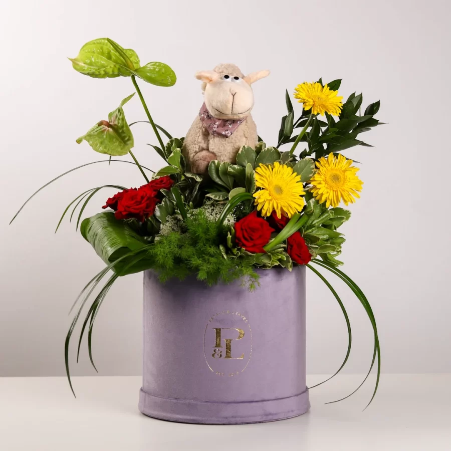 Sheep Celebrations Box