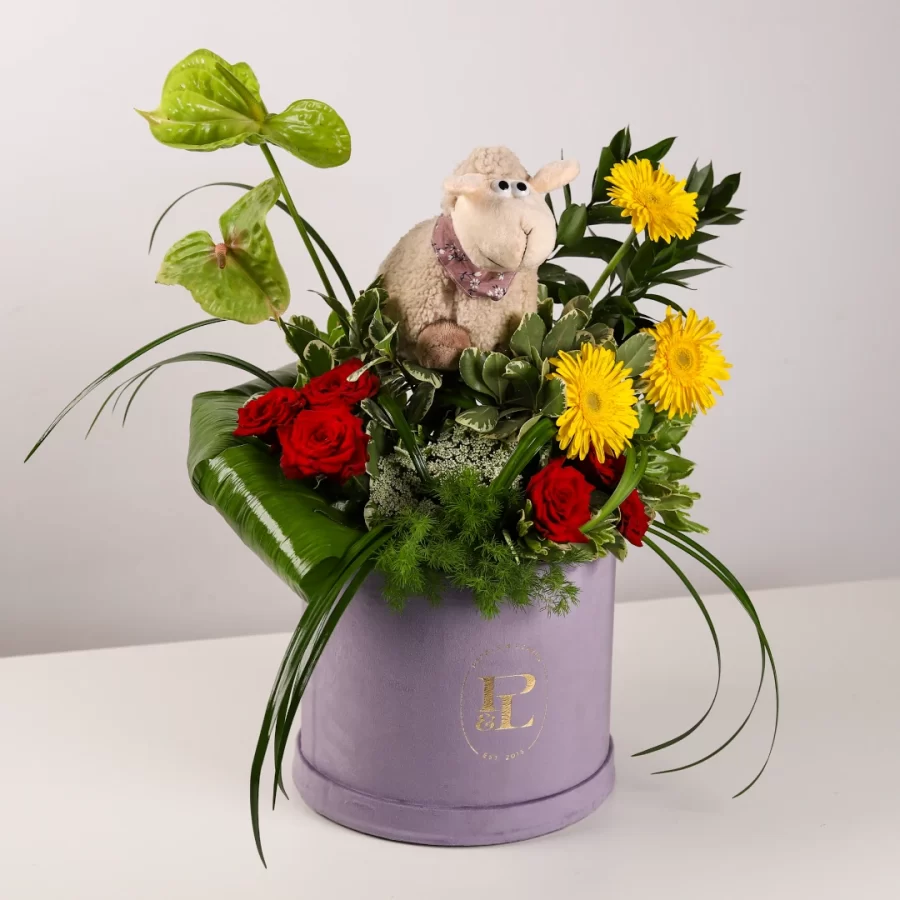 Sheep Celebrations Box
