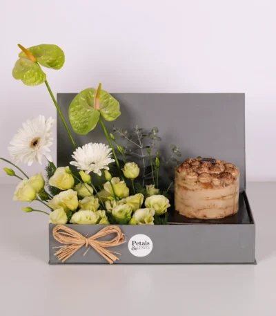 Green Serenity Tiramisu Box