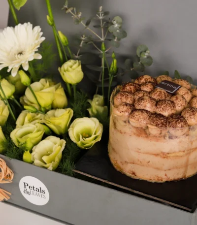 Green Serenity Tiramisu Box