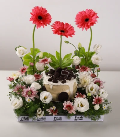 Oreo Blossom Delight Arrangement