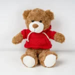 Snuggle Teddy Bear
