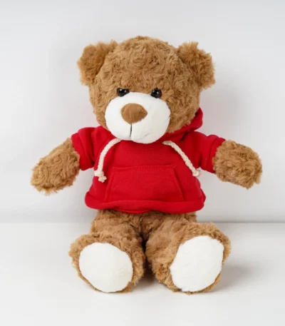 Snuggle Teddy Bear