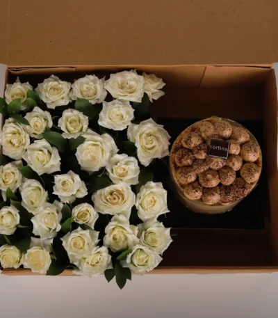 Ivory Tiramisu Perfection Box