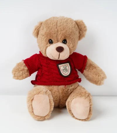 Cuddle Teddy Bear