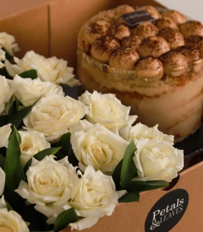 Ivory Tiramisu Perfection Box