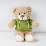 Snuggle Teddy Bear