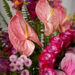 The Blush Empress Flower Box