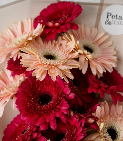 Pink Kiss Flower Bouquet