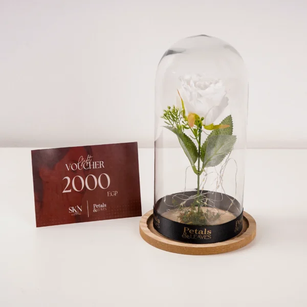 the-glow-experience-dome-glass-dome-arrangement