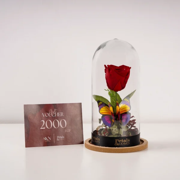 the-eternal-glow-rose-rose-dome