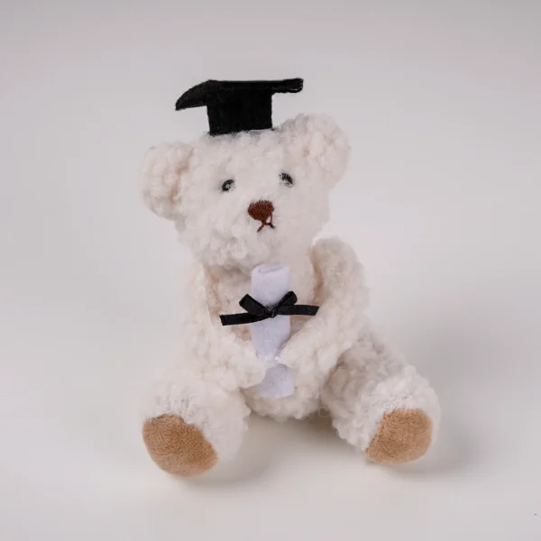 Graduation Teddy