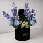 Midnight Sapphire - Image 2